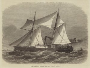 Twin-Screw Steamer John Penn, Uuteen-Seelantiin